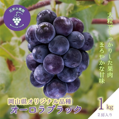 【2026年先行受付】岡山　花笑み農園のブドウ『オーロラブラック』1kg(2房)　A-1【配送不可地域：離島】