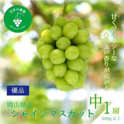 【2026年先行受付】岡山　花笑み農園の『シャインマスカット』500g以上(中1房)S-中1【配送不可地域：離島】