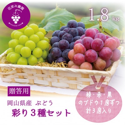 【2026年先行受付】岡山　花笑み農園のブドウ『彩り3種セット』贈答用　1.8kg(3房)3M-2上【配送不可地域：離島】