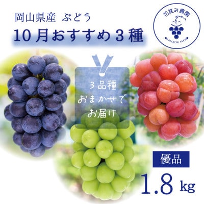 【2026年先行受付】岡山　花笑み農園の『10月おすすめ3種』優品　1.8kg(3房)3M-2L優【配送不可地域：離島】