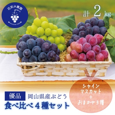 【2026年先行受付】岡山　花笑み農園の『食べ比べ4種』シャイン入り　優品　2kg(4房)4M-2優【配送不可地域：離島】