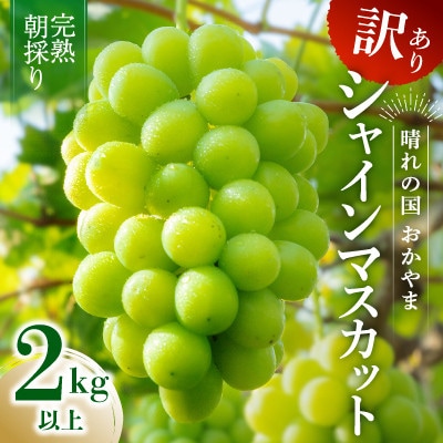 2026年発送【完熟朝採り】訳あり シャインマスカット 2.0kg以上【配送不可地域：離島】