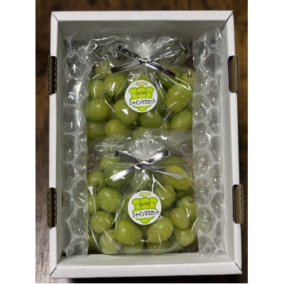 訳アリ　家庭用　糖度18度以上　つみ落としシャインマスカット 計1キロ以上【配送不可地域：離島】