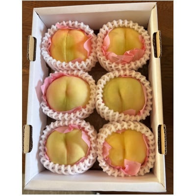 岡山産白桃　ご家庭用　1キロ以上　品種園主お任せ　訳アリ【配送不可地域：離島】