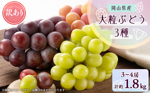 1064.【先行受付】訳あり大粒ぶどう3種セット(9月下旬～12月下旬発送予定)