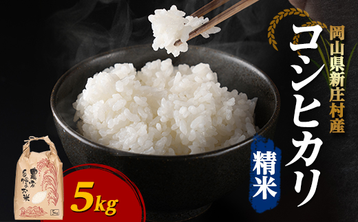 【令和7年産】新米コシヒカリ 村の「一等米」(精米5kg×1袋) 岡山県産のお米