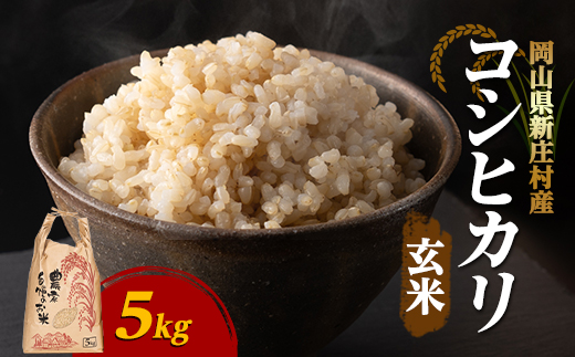 【令和7年産】新米コシヒカリ 村の「一等米」(玄米5kg×1袋) 岡山県産のお米