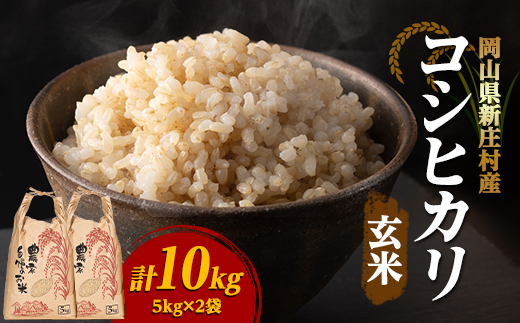 【令和7年産】新米コシヒカリ 村の「一等米」10kg(玄米5kg×2袋) 岡山県産のお米