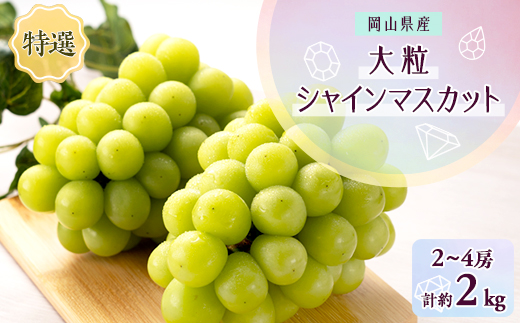 1065.【先行受付】特選大粒シャインマスカット2～4房(9月下旬～12月下旬頃発送予定)