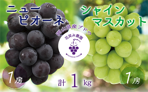 【2026年先行受付】岡山　花笑み農園の『ニューピオーネ＆シャインマスカット』1kg(2房)PS-1【配送不可地域：離島】