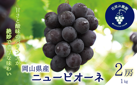 【2026年先行受付】岡山　花笑み農園の『ニューピオーネ』1kg(2房)P-1【配送不可地域：離島】