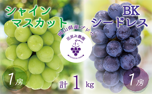 【2026年先行受付】岡山　花笑み農園の『シャインマスカット＆BKシードレス』1kg(2房)BS-1【配送不可地域：離島】