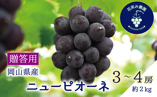 【2026年先行受付】岡山　花笑み農園の『ニューピオーネ』贈答用　約2kg(3～4房)P-2上【配送不可地域：離島】
