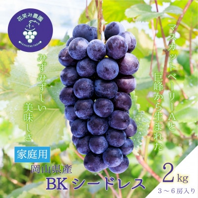 【2026年先行受付】岡山　花笑み農園の『BKシードレス』家庭用　約2kg(3～6房)　B-2家【配送不可地域：離島】