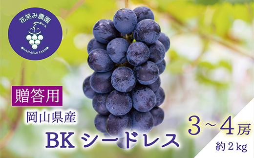 【2026年先行受付】岡山　花笑み農園の『BKシードレス』贈答用　約2kg(3～4房)　B-2上【配送不可地域：離島】