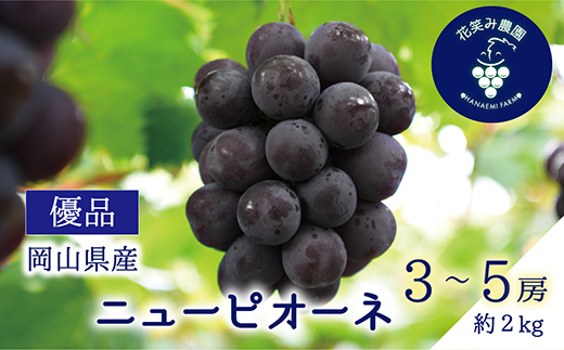 【2026年先行受付】岡山　花笑み農園の『ニューピオーネ』優品　約2kg(3～5房)P-2優【配送不可地域：離島】