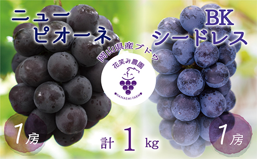 【2026年先行受付】岡山　花笑み農園の『ニューピオーネ＆BKシードレス』1kg(2房)PB-1【配送不可地域：離島】