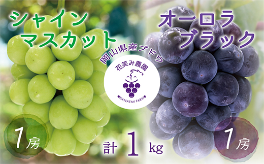 【2026年先行受付】岡山　花笑み農園の『オーロラブラック＆シャインマスカット』1kg　AS-1【配送不可地域：離島】