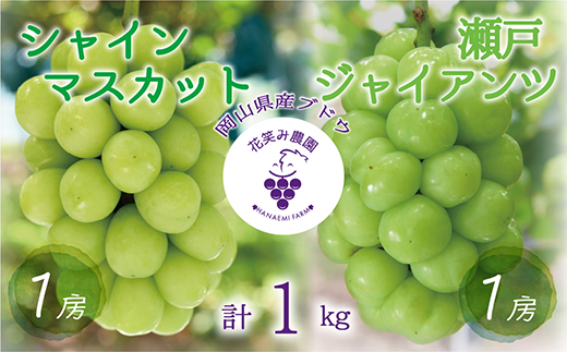 【2026年先行受付】岡山　花笑み農園の『瀬戸ジャイアンツ＆シャインマスカット』1kg　GS-1【配送不可地域：離島】