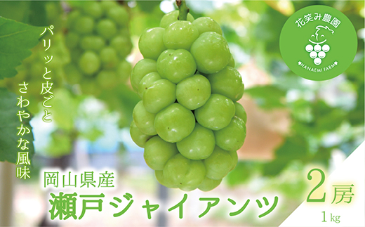 【2026年先行受付】岡山　花笑み農園の『瀬戸ジャイアンツ』1kg(2房)　G-1【配送不可地域：離島】