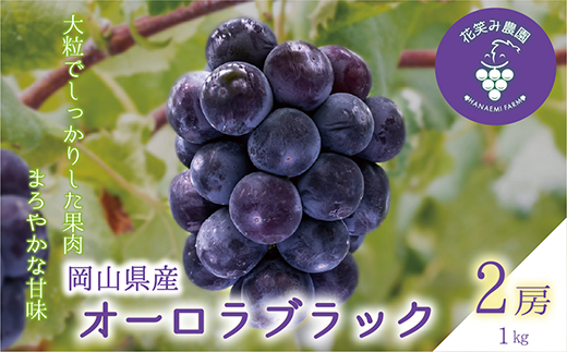【2026年先行受付】岡山　花笑み農園のブドウ『オーロラブラック』1kg(2房)　A-1【配送不可地域：離島】