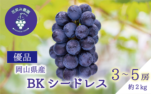 【2026年先行受付】岡山　花笑み農園の『BKシードレス』優品　約2kg(3～5房)　B-2優【配送不可地域：離島】