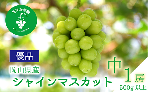 【2026年先行受付】岡山　花笑み農園の『シャインマスカット』500g以上(中1房)S-中1【配送不可地域：離島】