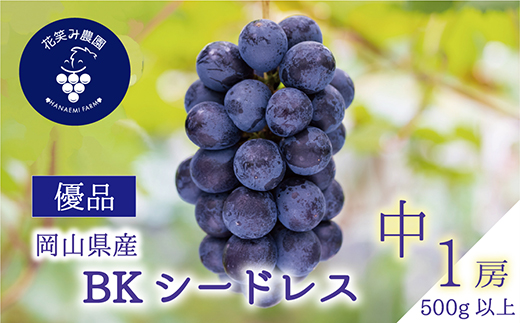【2026年先行受付】岡山　花笑み農園の『BKシードレス』500g以上(中1房)　B-中1【配送不可地域：離島】
