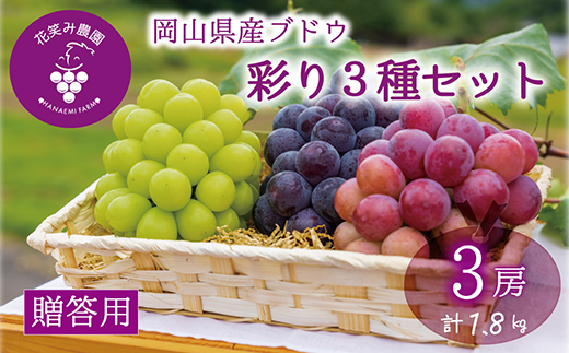【2026年先行受付】岡山　花笑み農園のブドウ『彩り3種セット』贈答用　1.8kg(3房)3M-2上【配送不可地域：離島】