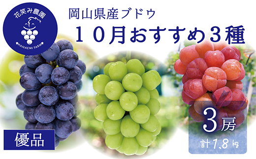 【2026年先行受付】岡山　花笑み農園の『10月おすすめ3種』優品　1.8kg(3房)3M-2L優【配送不可地域：離島】
