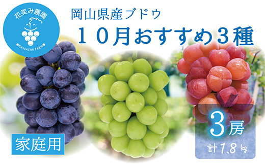 【2026年先行受付】岡山　花笑み農園の『10月おすすめ3種』家庭用　1.8kg(3房)3M-2L家【配送不可地域：離島】