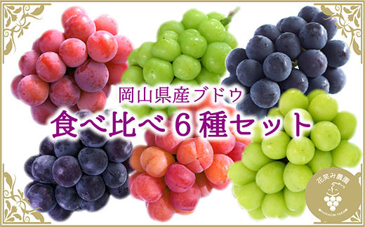 【2026年先行受付】岡山　花笑み農園のブドウ『食べ比べ6種セット』6M-5【配送不可地域：離島】