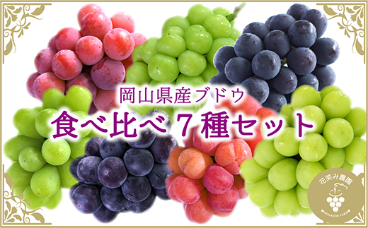 【2026年先行受付】岡山　花笑み農園のブドウ『食べ比べ7種セット』7M-5【配送不可地域：離島】