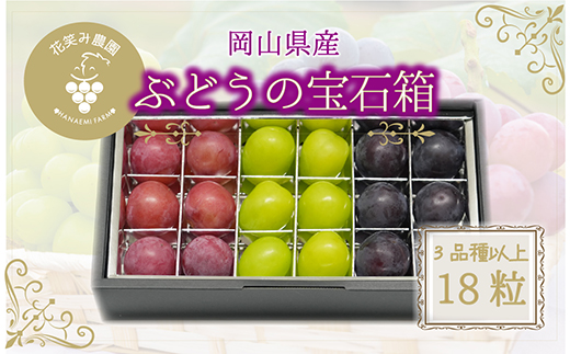 【2026年先行受付】岡山　花笑み農園『ブドウの宝石箱』3種以上(18粒入り)　3M-宝18【配送不可地域：離島】