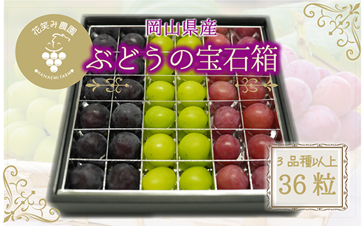 【2026年先行受付】岡山　花笑み農園『ブドウの宝石箱』3種以上(36粒入り)　3M-宝36【配送不可地域：離島】