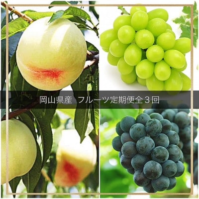 【発送月固定定期便】岡山県産  フルーツ定期便全3回【配送不可地域：離島・北海道・沖縄県】