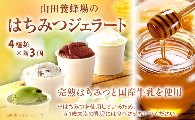 はちみつジェラート12個入（26590）【006-a050】