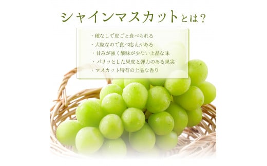 ＜受付終了間近＞シャインマスカット 1房 700g以上【025-a020】