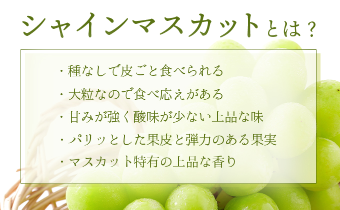 ＜2025年発送分 先行予約＞シャインマスカット 1.2kg以上（2～3房）【025-a021】