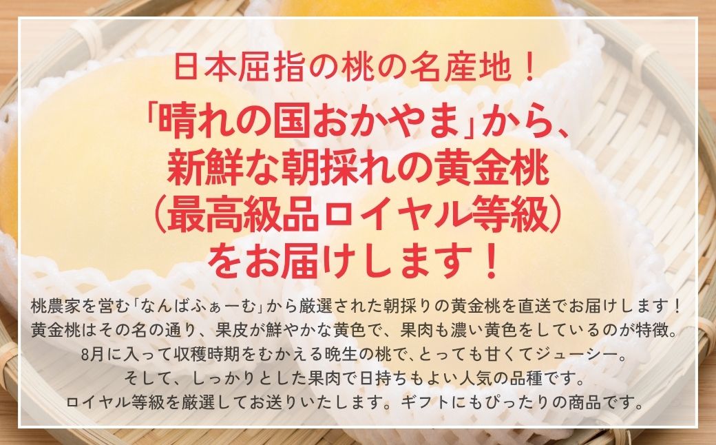 【2026年先行予約】［なんばふぁーむ］岡山県産 黄金桃 1.5kg（4〜6玉）[ギフト用]【039-a008】 1.5kg（4～6玉）