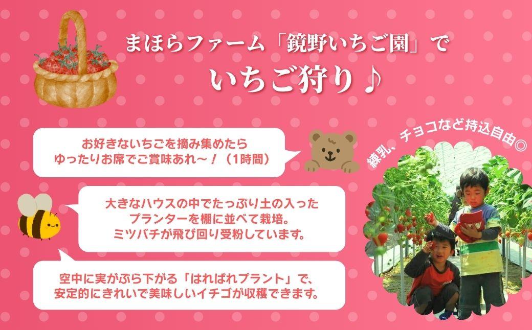 鏡野町まほらファーム いちご狩りご招待券（1名様）【2026年2月～5月】【029-a016】