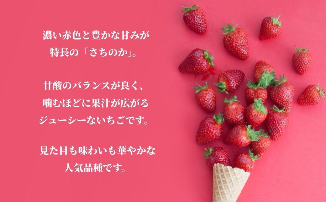 鏡野町産 朝摘みいちご「さちのか」2パック（合計500g）【2026年1月～4月発送】【029-a014】 2パック（合計500g）