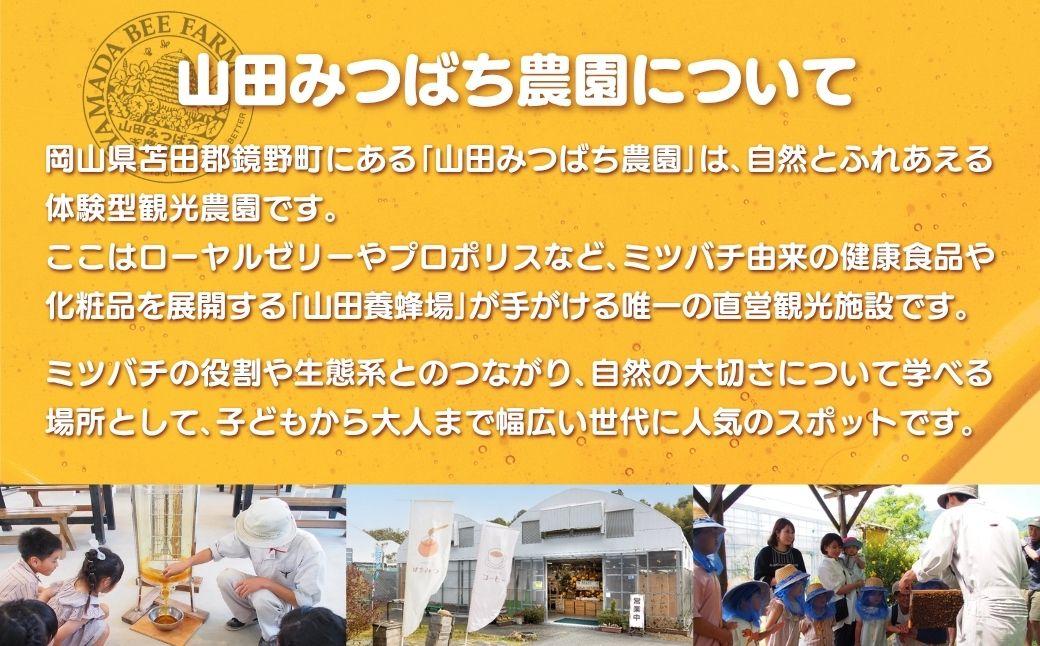 ［山田みつばち農園］1Dayフリーパス（1月～5月）いちご狩り付き 049-a002