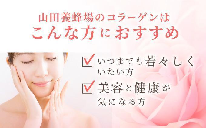 ＜定期便全12回＞コラーゲン 1袋(300粒)×12回 (28066)【006-a101】 定期便12回