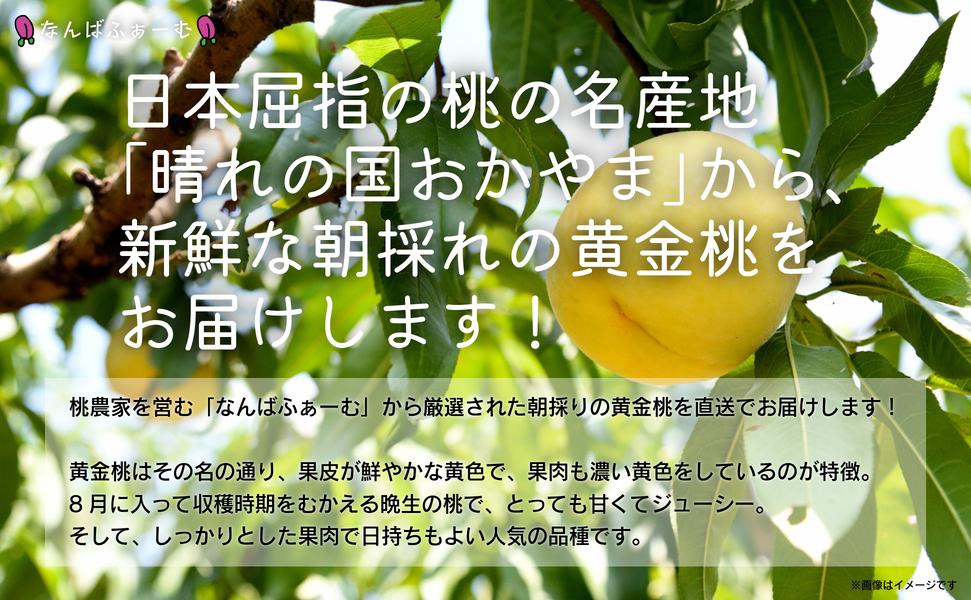 【2026年先行予約】［なんばふぁーむ］岡山県産 黄金桃 2.0kg（6～9玉）［ご家庭用］ 2.0kg（6～9玉）
