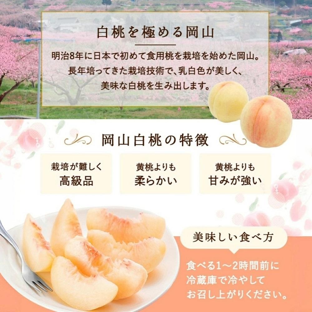 岡山白桃3玉（計約750ｇ）化粧箱入