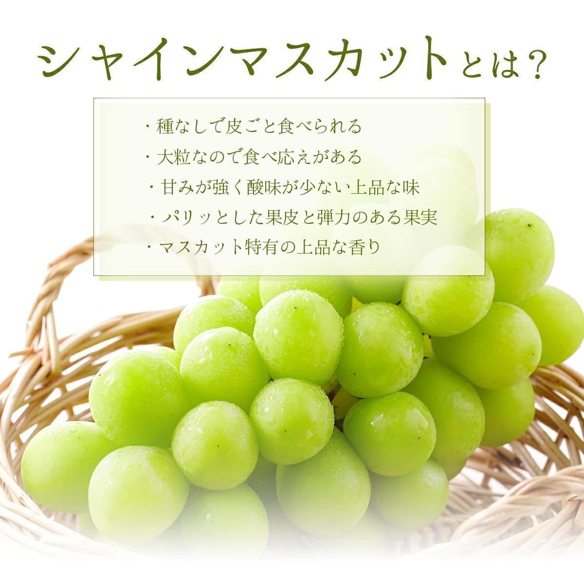 【2026年発送分 先行予約】岡山県産 シャインマスカット 1.5kg以上（3～4房）【ご家庭用】【025-a036】 1.5kg以上（3～4房）