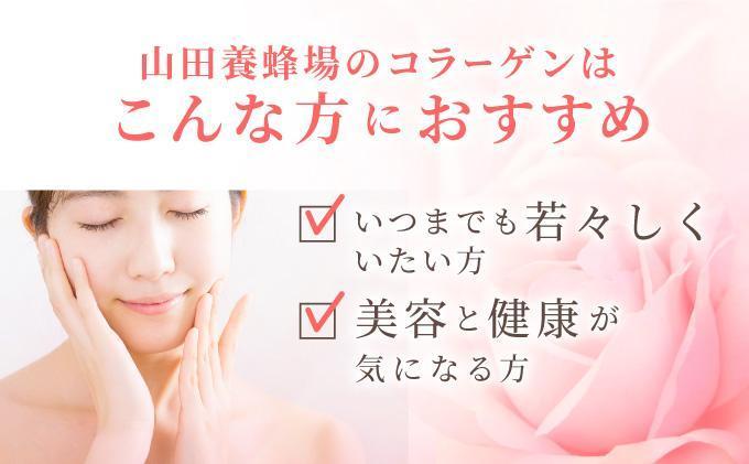 ＜定期便全6回＞コラーゲン 1袋(300粒)×6回 (28066)【006-a100】 定期便6回