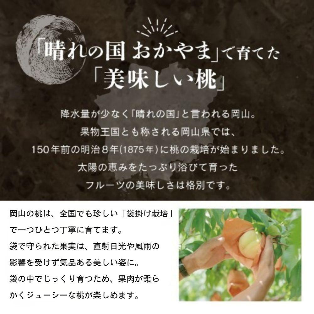 【先行予約】晴れの国おかやま 白桃・黄金桃食べ比べ４玉【8月下旬～9月上旬発送】【021-a024】 食べ比べ4玉