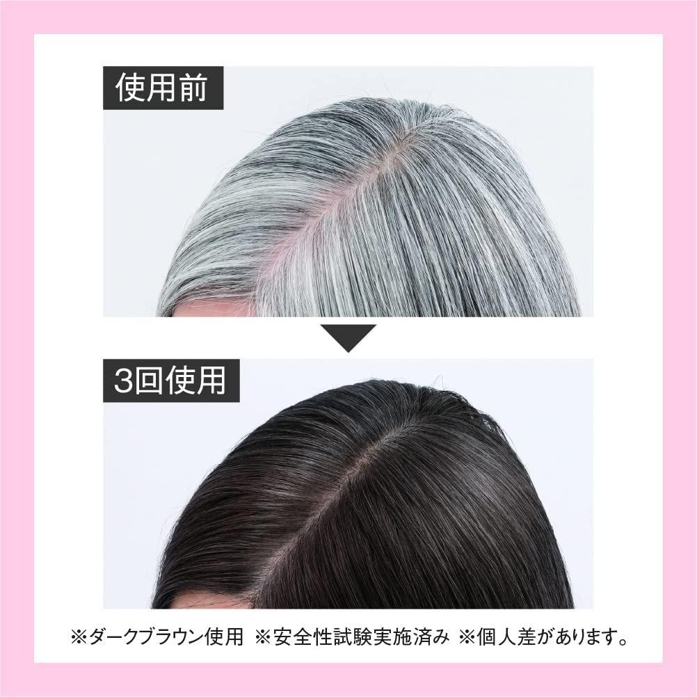 RJヘアカラートリートメント ダークブラウン 210g   【006-a119】 ダークブラウン